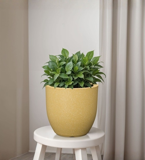 Beige German Polymer Round Planter Pcup 10 Inch-image-30