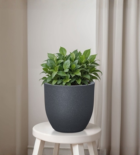 Grey German Polymer Round Planter Pcup 10 Inch-image-36