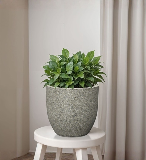 Victoria Grey German Polymer Round Planter Pcup 10 Inch