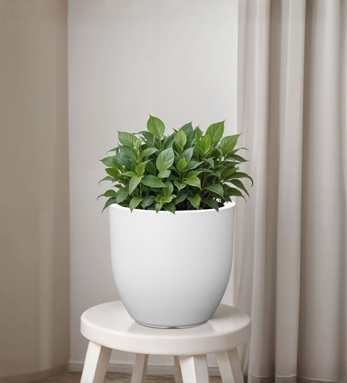White German Polymer Round Planter Pcup 10 Inch