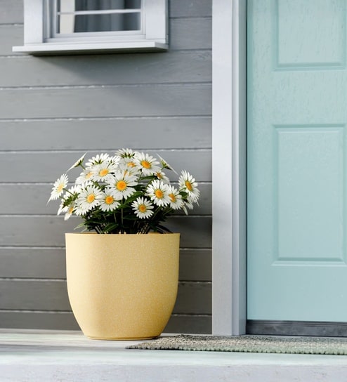 yuccabe italia Beige German Polymer Round Planter Pcup 12 Inch-picture-19