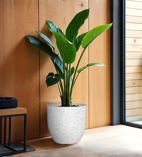 Marble White German Polymer Round Planter Pcup 15 Inch-image-48