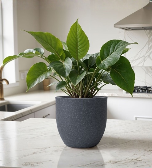 Grey German Polymer Round Planter Pcup 6 Inch