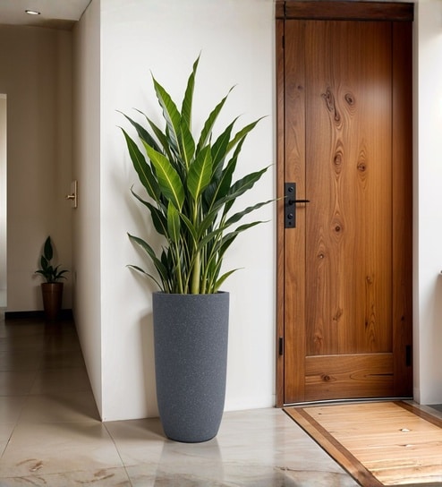 Grey German Polymer Tall Round Planter Tpc 30 Inch