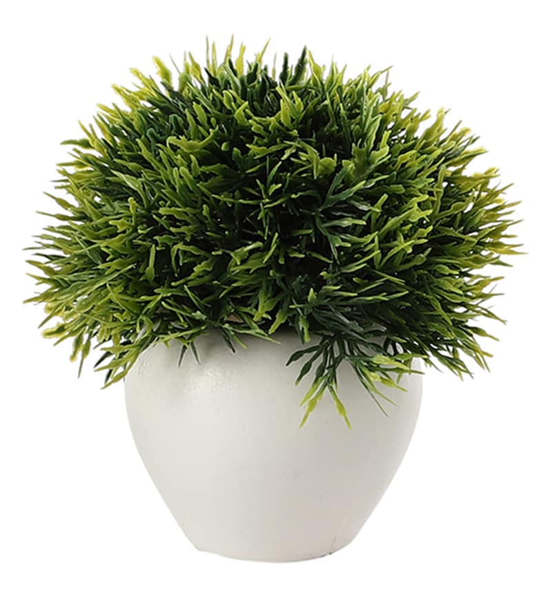 Buy Plastic Green Mini Artificial Plants Online Artificial Plants