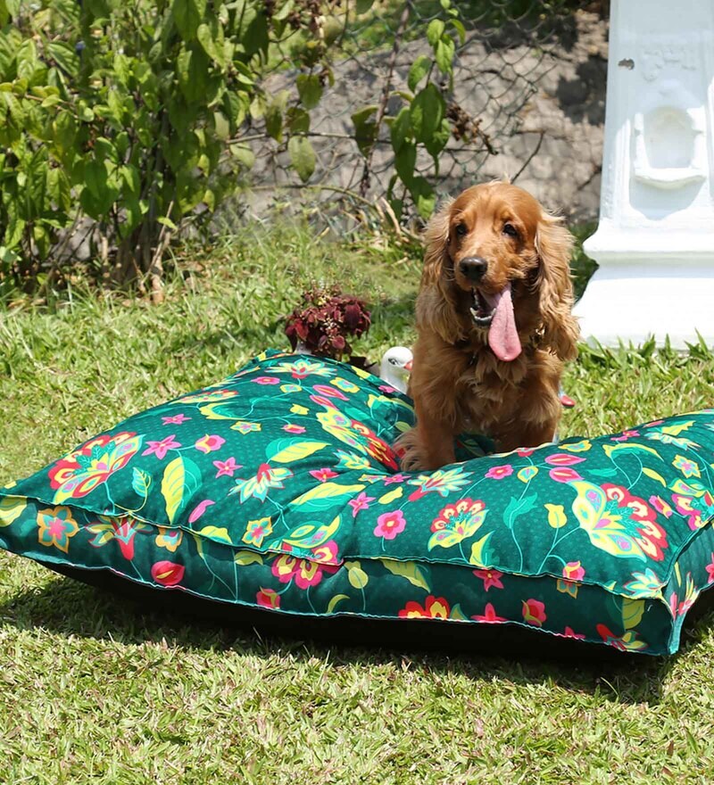 Buy Forest Cyanic Pop Burst Dog Mat by India Circus by Krsnaa Mehta