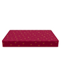 Neo Orthopedic 5 inch PU Foam Single Mattress
