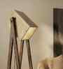Focal Wooden Floor Lamp with Wooden Shade & Brown Base