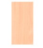 Focus (Large) Study Table in Ice Beech Colour