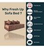 Foldable 3 Seater 7 inches Queen Size Foam Sofa Cum Foldable Mattress
