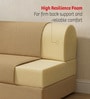 Foldable 7 Inches HR Foam (75x60) Queen Size Sofa Cum Mattress in Beige Colour