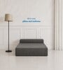 Foldable 7 Inches Resitec Foam (75x30) Single Size Sofa Cum Mattress in Grey Colour