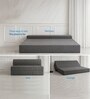 Foldable 7 Inches Resitec Foam (75x60) Queen Size Sofa Cum Mattress in Grey Colour