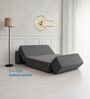 Foldable 7 Inches Resitec Foam (75x60) Queen Size Sofa Cum Mattress in Grey Colour