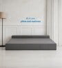 Foldable 7 Inches Resitec Foam (75x60) Queen Size Sofa Cum Mattress in Grey Colour