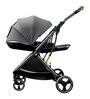 Folding Luxury Travel Stroller in Coballe Grey Colour