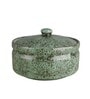 Foliage 1000ml Ceramic Serving Bowl with Lid