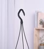Foliage Philodendron Oxyacardium Natural Plant With Hanging Ivory Pot