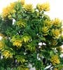 Yellow Artificial Bonsai Tree With Pot
