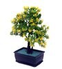 Yellow Artificial Bonsai Tree With Pot
