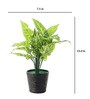 Plastic Green Zebra Artificial Plants