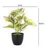 Plastic White Coleus Artificial Plants