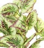 Plastic White Coleus Artificial Plants