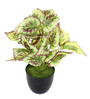 Plastic White Coleus Artificial Plants