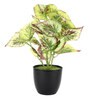 Plastic White Coleus Artificial Plants