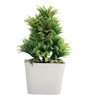 Plastic Lucy Green Mini Bonsai Artificial Plant