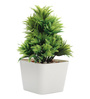 Plastic Lucy Green Mini Bonsai Artificial Plant