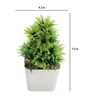 Plastic Lucy Green Mini Bonsai Artificial Plant