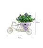 Polyester And Plastic Green And Rickshaw With Green Leaves And Purple Roses With Pot Artificial Plants