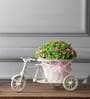 Polyester And Plastic Green And Rickshaw With Small Pink Leaves With Pot Artificial Plants