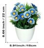 Blue Artificial Plants With Pot Set Of 2