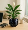 Black Football Design Ceramic Pot for Indoor & Outdoor Plants