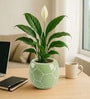 Green Football Design Ceramic Pot for Indoor & Outdoor Plants