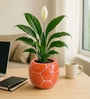 Orange Football Design Ceramic Pot for Indoor & Outdoor Plants