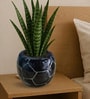 Black Football Design Ceramic Pot for Indoor & Outdoor Plants