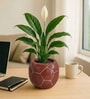 Football Design Ceramic Pot for Indoor & Outdoor Plants