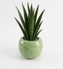 Green Football Design Ceramic Pot for Indoor & Outdoor Plants