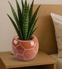 Football Design Ceramic Pot for Indoor & Outdoor Plants