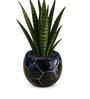Black Football Design Ceramic Pot for Indoor & Outdoor Plants