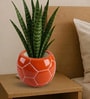 Orange Football Design Ceramic Pot for Indoor & Outdoor Plants