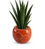 Orange Football Design Ceramic Pot for Indoor & Outdoor Plants