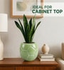 Green Football Design Ceramic Pot for Indoor & Outdoor Plants