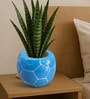 Blue Football Design Ceramic Pot for Indoor & Outdoor Plants