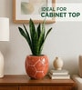 Football Design Ceramic Pot for Indoor & Outdoor Plants