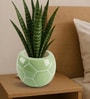 Green Football Design Ceramic Pot for Indoor & Outdoor Plants