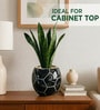 Black Football Design Ceramic Pot for Indoor & Outdoor Plants